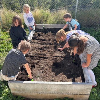 digging kimberley ikebushi