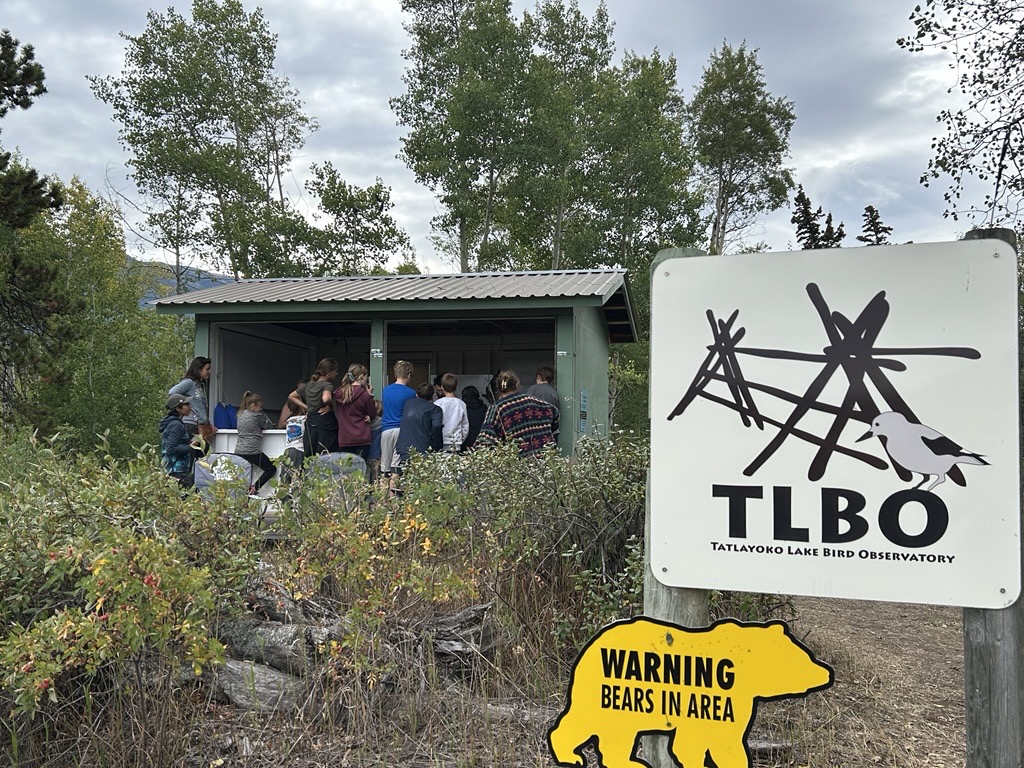 TLBO 2 2025