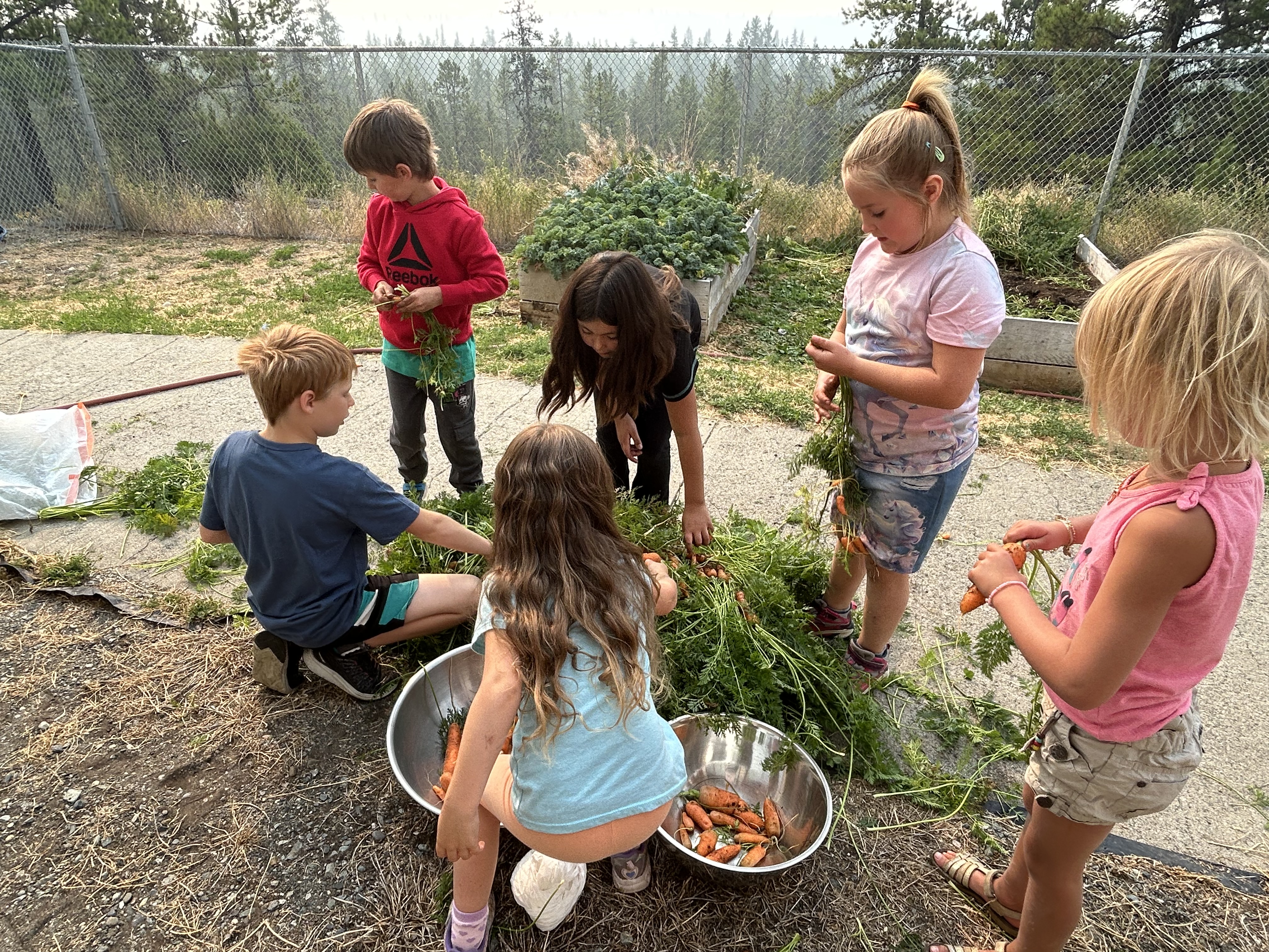 carrots kimberley ikebuchi