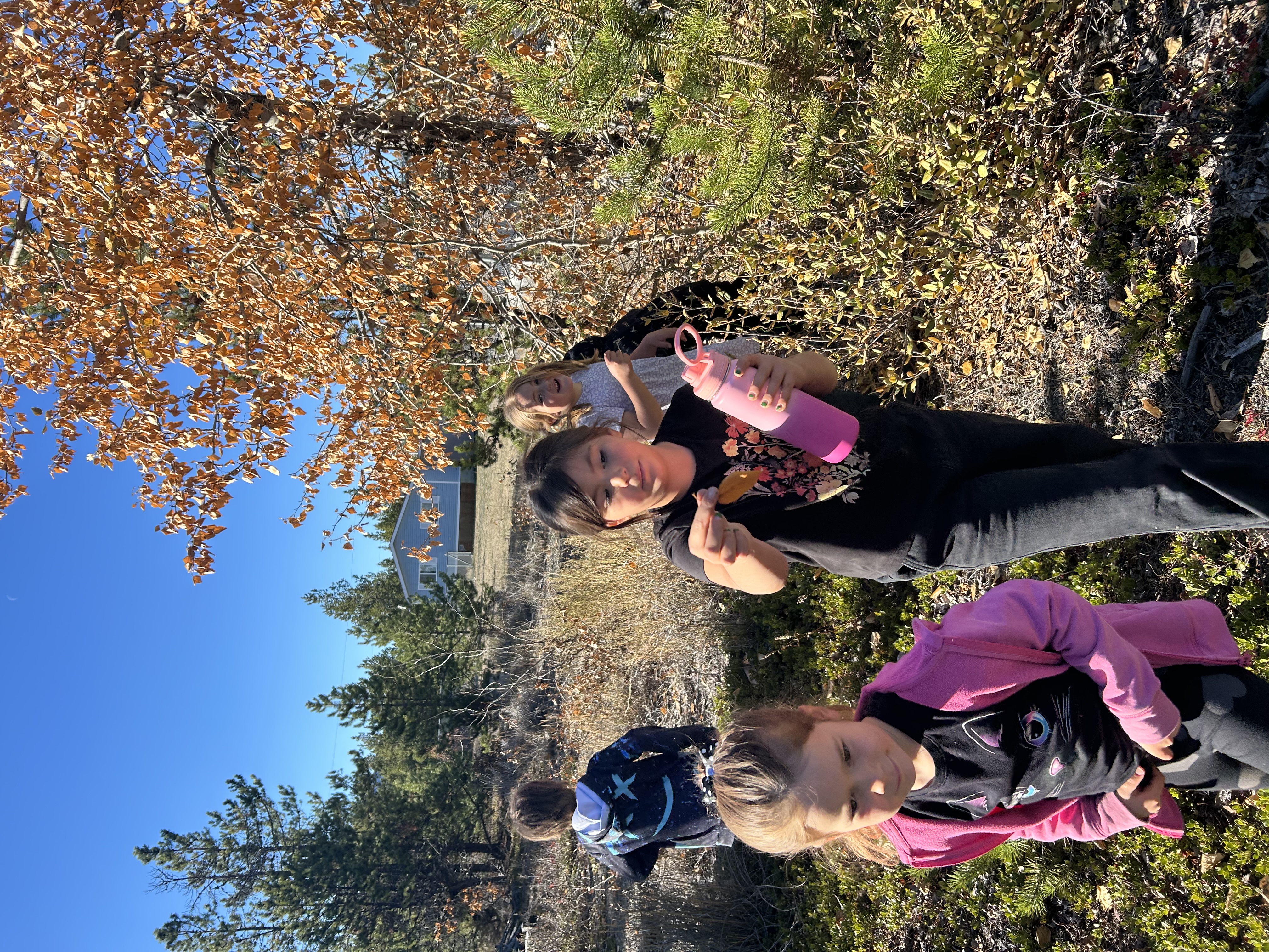 Fall Learning kimberley ikebuchi