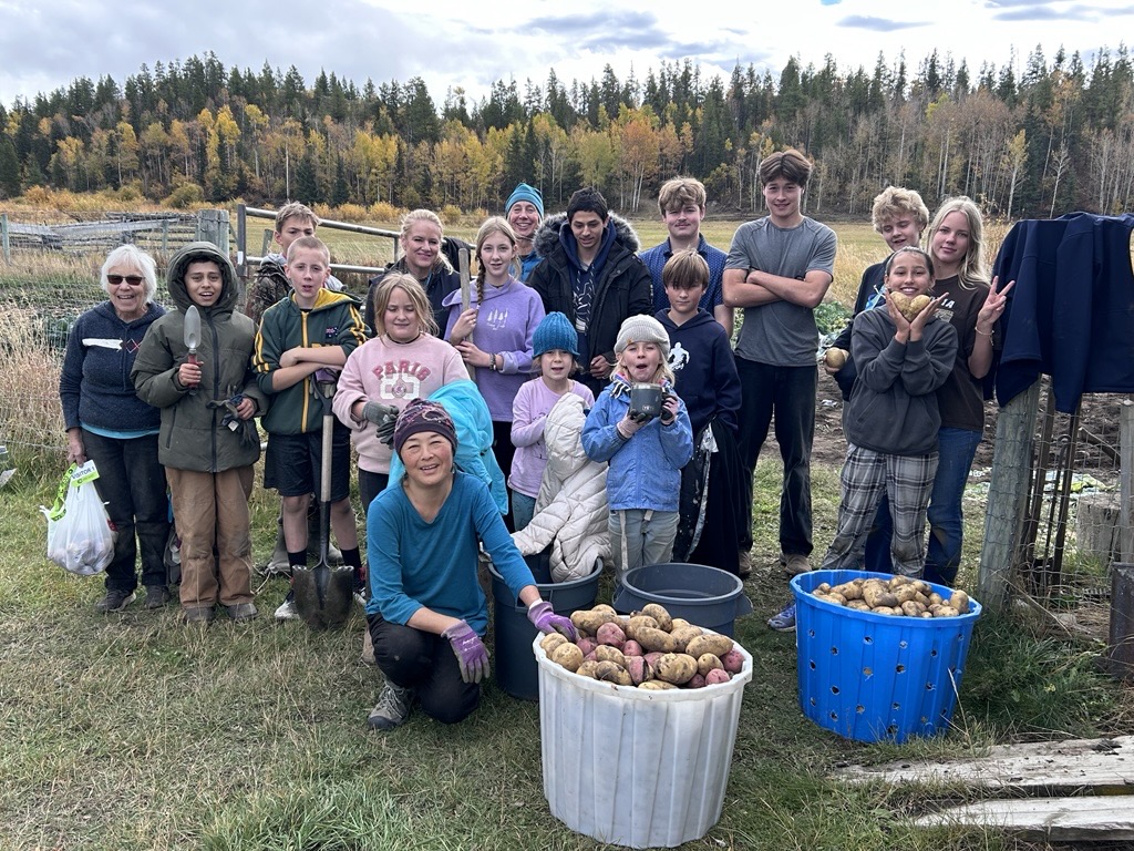 Fall Harvest kimberley ikebuchi