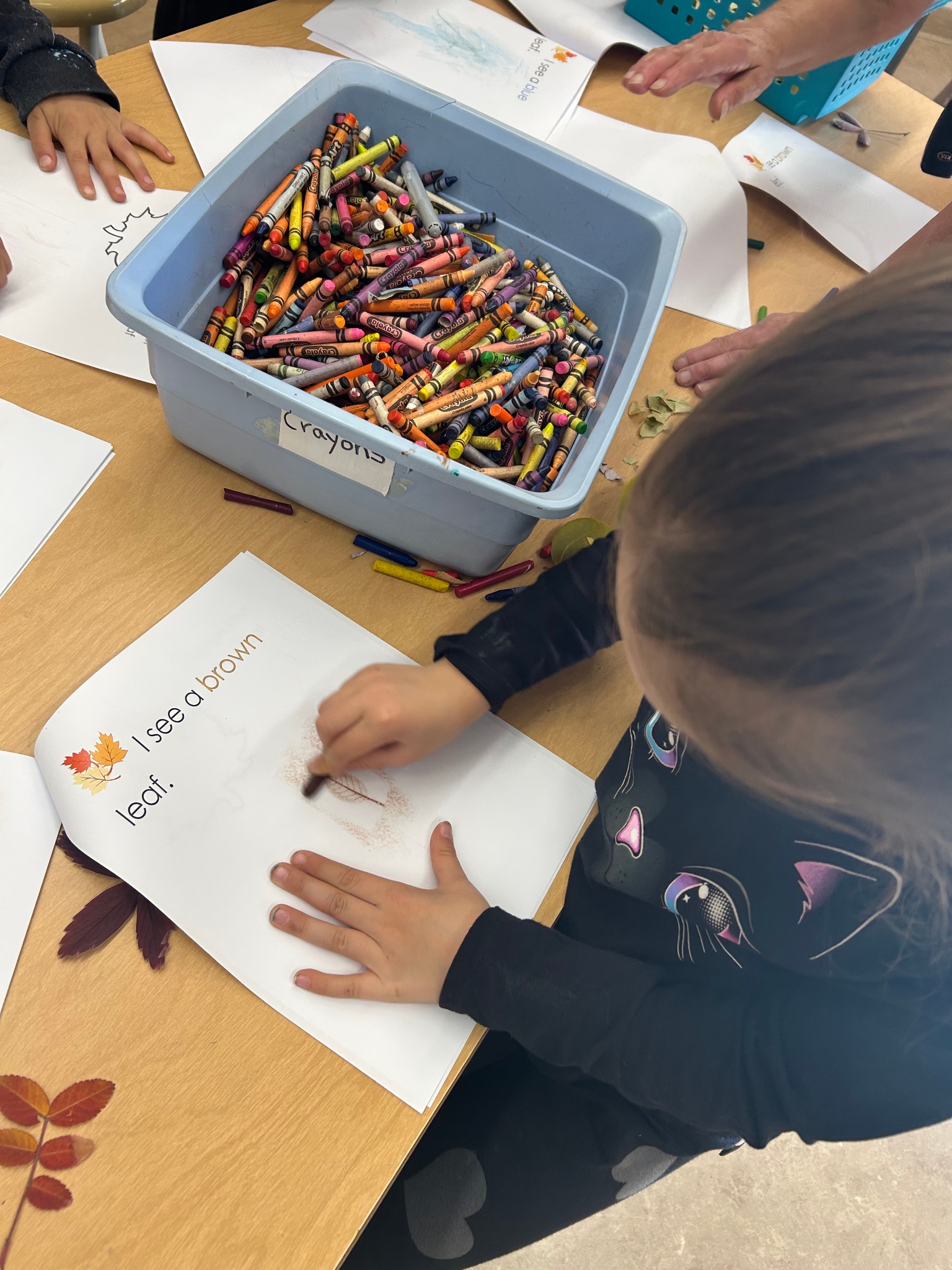 Fall Learning 2 kimberley ikebuchi