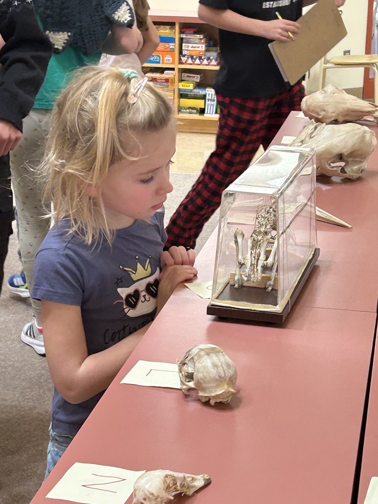 Learning with Scout Island 2 kimberley ikebuchi