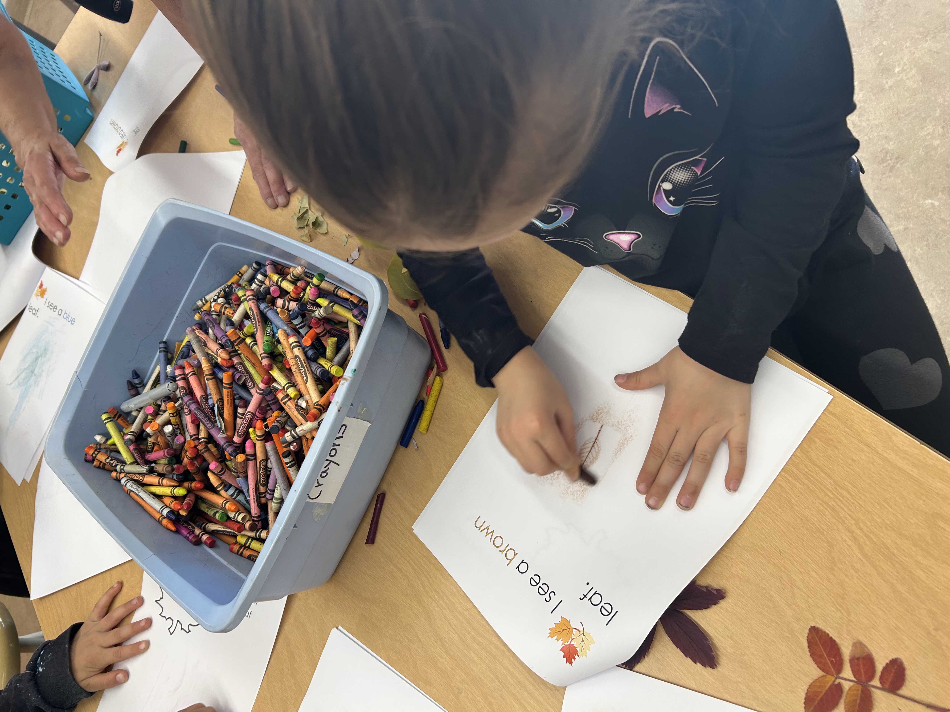 Fall Learning 2 kimberley ikebuchi